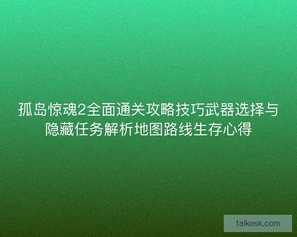 孤岛惊魂2全面通关攻略技巧武器选择与隐藏任务解析地图路线生存心得